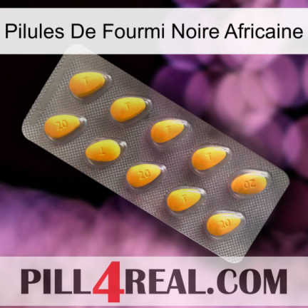 African Black Ant Pills cialis1